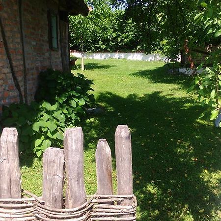 Lodge Morava Vrnjačka Banja Exteriér fotografie
