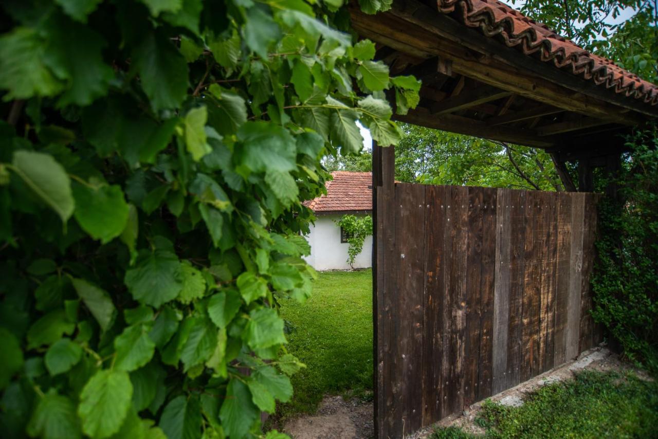 Lodge Morava Vrnjačka Banja Exteriér fotografie